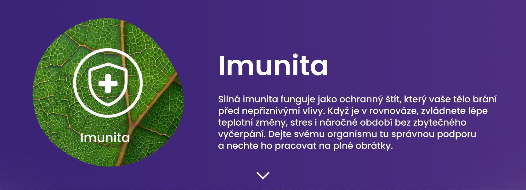 Imunita