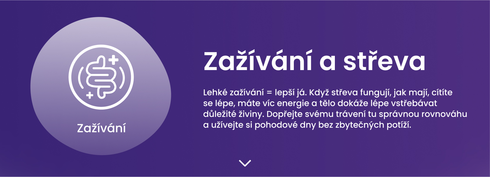 Zažívání a střeva