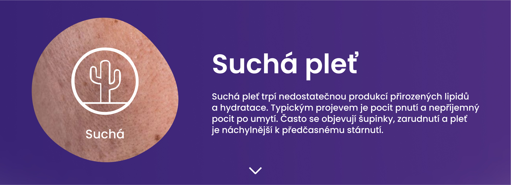Suchá pleť